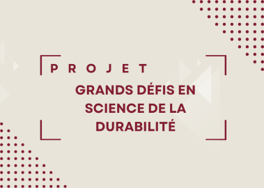 Texte alternatif de l'image